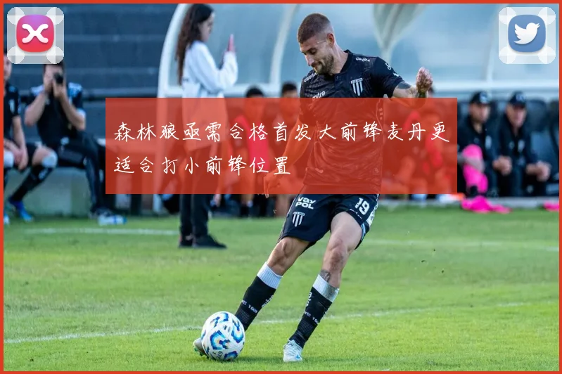 森林狼亟需合格首发大前锋麦丹更适合打小前锋位置